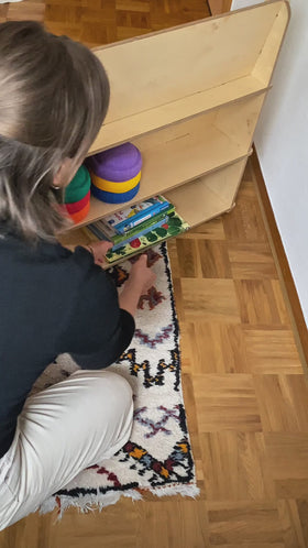 Montessori Bücherregal Hermann